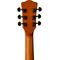 Гитара акустическая Rockdale Aurora D6 SB Satin, изображение 9