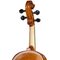 Скрипка Gliga B-V044 Beginer Genial 2 Nitro, изображение 6