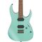 Электрогитара Ibanez RG421S-SEM, изображение 2