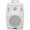 Настенная акустическая система TADS DS-541K