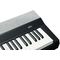 Цифровое пианино Kurzweil KA P1 LB, изображение 6