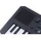 Синтезатор Medeli MK49, изображение 4