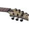 Электрогитара Schecter Omen Elite-6 CHAR, изображение 5