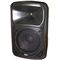 Переносная акустическая система Soundking WJ12A