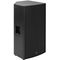 Активная акустическая система DS Proaudio CX 315A