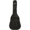 Гитара классическая Eko CS-10 Sunburst, изображение 5