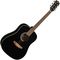 Гитара акустическая Eko Ranger 6 Black