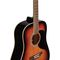 Гитара акустическая Eko Ranger 6 Brown Sunburst, изображение 3