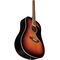 Гитара акустическая Eko Ranger 6 Brown Sunburst, изображение 4