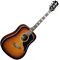 Гитара акустическая Eko Ranger VI VR Honey Sunburst