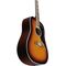 Гитара акустическая Eko Ranger VI VR Honey Sunburst, изображение 4