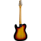 Электрогитара Eko Tero V-NOS Sunburst, изображение 2