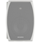 Пассивная акустическая система CVGaudio ODF608TW