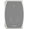 Пассивная акустическая система CVGaudio ODF616TW