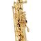 Саксофон Buffet Crampon Prodige BC8101-1-0, изображение 8