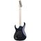 Электрогитара Ibanez RG2027XL-DTB, изображение 4