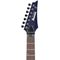 Электрогитара Ibanez RG2027XL-DTB, изображение 6