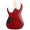 Электрогитара Ibanez RG421PB-CHF, изображение 5