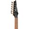 Электрогитара Ibanez RG421PB-CHF, изображение 6