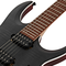Электрогитара Ibanez RGA42FM-TGF, изображение 5