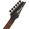 Электрогитара Ibanez RGA42FM-TGF, изображение 6