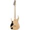 Электрогитара Ibanez RGDR4327-NTF, изображение 2