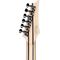 Электрогитара Ibanez RGR5221-TFR, изображение 7