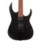 Электрогитара Ibanez RGRT421-WK, изображение 2