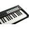 MIDI клавиатура LAudio P-49-PRO, изображение 4