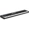 MIDI клавиатура LAudio P-88-PRO, изображение 2