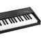 MIDI клавиатура LAudio P-88-PRO, изображение 3