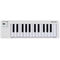 MIDI-клавиатура Arturia MicroLab mk3 White