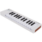 MIDI-клавиатура Arturia MicroLab mk3 White, изображение 4