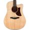 Гитара электроакустическая Ibanez AAD170CE-LGS, изображение 2