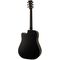 Гитара электроакустическая Ibanez AW84CE-WK, изображение 2
