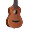 Укулеле Ibanez UKS100-OPN, изображение 2