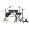 Ударная установка Ludwig Accent Pro LC196-1 Black Wood Grain