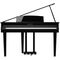 Цифровой рояль Kawai DG30EP