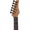 Электрогитара Schecter PT Standard BFBB, изображение 5