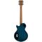 Электрогитара Schecter Solo II Standard OBB, изображение 3
