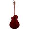 Гитара электроакустическая Breedlove Oregon Companion Old Fashioned CE, изображение 4