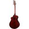 Гитара электроакустическая Breedlove Oregon Companion Old Fashioned CE, изображение 5