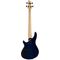 Бас-гитара Schecter C-4 Plus OBB, изображение 3