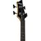 Бас-гитара Schecter C-4 Plus OBB, изображение 5