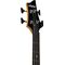 Бас-гитара Schecter C-4 Plus STCB, изображение 5