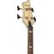 Бас-гитара Schecter Omen Extreme-4 GNAT, изображение 5