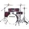 Ударная установка Ludwig Accent Pro LC196-5 Bordeaux Red