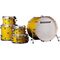 Ударная установка Ludwig Evolution Maple Pro LCEM52205 Shinning Gold