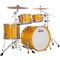 Комплект барабанов Ludwig NeuSonic Rapid MOD2 LN34204FTX-PG Satin Golden Slumbers