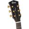 Гитара электроакустическая Cort Gold-DC6 WCASE NAT, изображение 6
